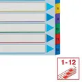 Kartónové registre Esselte Mylar s prepisovateľným predným listom, A4 Maxi, Mix farieb