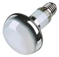 Pohárik (PET) číry priemer 48mm 2cl/4cl [40 ks]