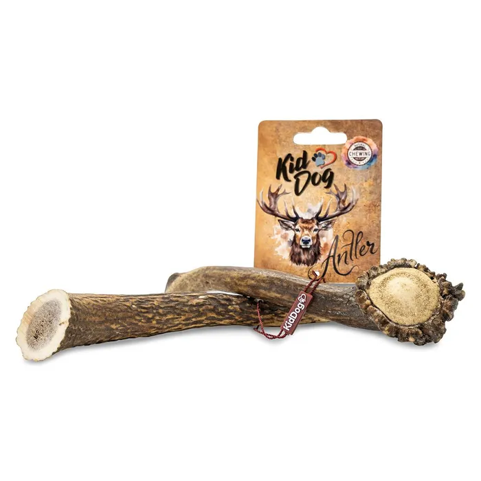 Hlavný obrázok produktu KIDDOG Antler, jelení paroh celý - L