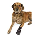 Ďalší obrázok produktu Komfortné ochranné nylonové topánočky, 2 ks XL: napr. rhodésky ridgeback
