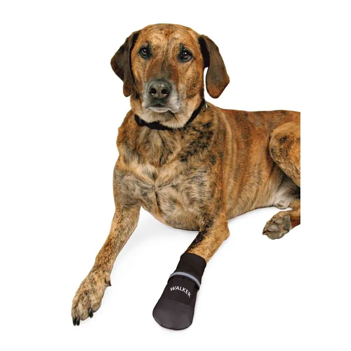 Hlavný obrázok produktu Komfortní ochranné nylonové botičky, 2 ks XL: např. rhodéský ridgeback