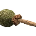 Ďalší obrázok produktu Hryzacie lízatko MATATABI 11 cm prírodný produkt