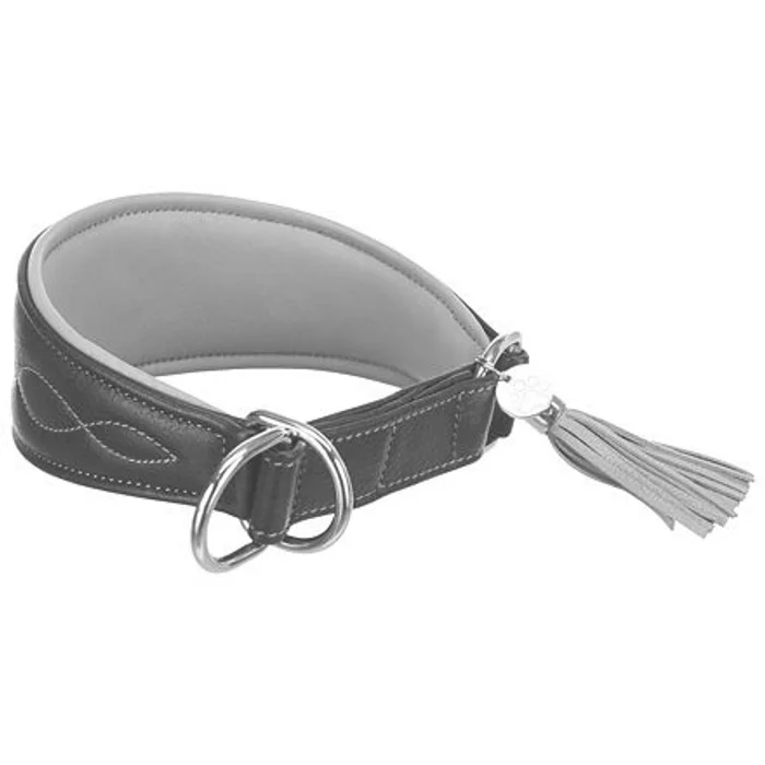 Hlavný obrázok produktu Kožený obojek ACTIVE Comfort pro chrty - černá/šedá S:27-35cm/55mm