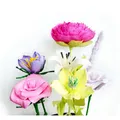 Ďalší obrázok produktu Krepový papier Happy Color 25x100 cm - mix 6 farieb Delicate