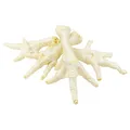 Ďalší obrázok produktu Kurací pařát biely - 50 ks/bal