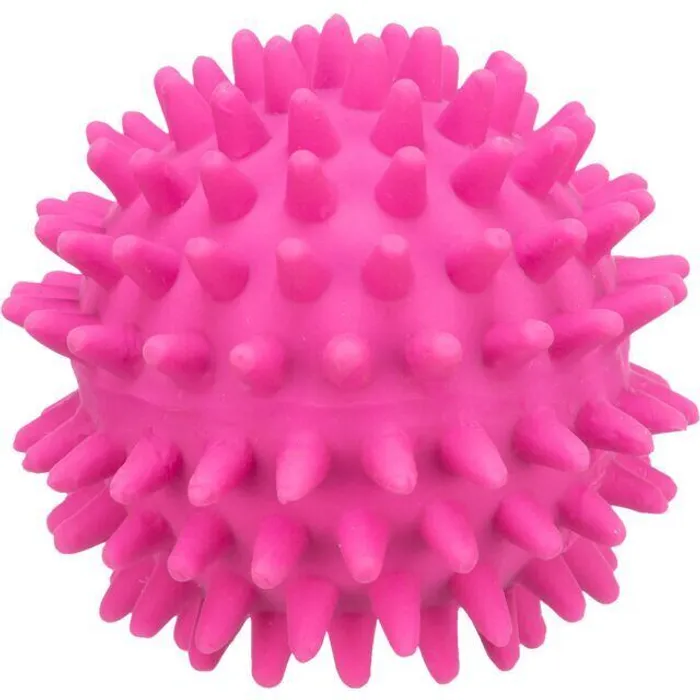 Hlavný obrázok produktu Latexový ježatý míček se zvukem 6 cm TRIXIE