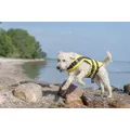 Ďalší obrázok produktu Life Vest plávacia vesta pre psa S 35 cm: 42-66 cm, do 20kg žlto/čierna