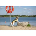 Ďalší obrázok produktu Life Vest plávacia vesta pre psa XS 28 cm: 30-50 cm, do 12kg žlto/čierna