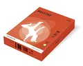 MAESTRO color INTENSIV 80g 500 listov Brick Red - ZR09