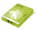 MAESTRO color INTENSIV 80g 500 listov Lime Green - LG46