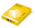 MAESTRO color INTENSIV 160g 250 listov Mustard - IG50