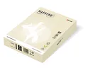 MAESTRO color PASTELL 80g 500 listov Vanilla - BE66