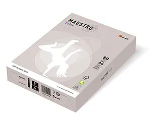 MAESTRO color TREND 80g 500 listov Grey - GR21