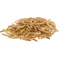 Ďalší obrázok produktu MEALWORMS, múčne červy sušenie, 200 g