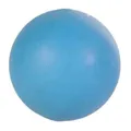 Lopta plná, tvrdá guma 5cm TRIXIE