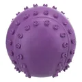 Ďalší obrázok produktu Lopta s bodlinami a zvukom 6 cm