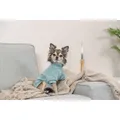 Ďalší obrázok produktu Mikina LITTLETON, mátováXS: 27cm, hruď: 36cm, krk: 28cm