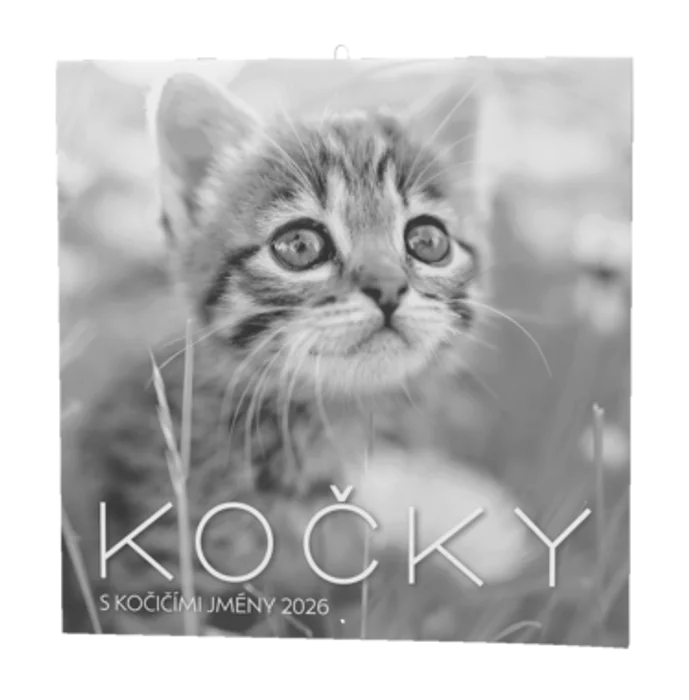 Hlavný obrázok produktu Nástěnný kalendář - Kočky