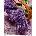 Ďalší obrázok produktu Nástenný kalendár - Provence - A3