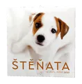 Nástenný kalendár - Šteniatka