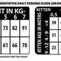 Ďalší obrázok produktu Natural Woodland Backwoods Diet Cat & Kitten /vepřové/5 kg