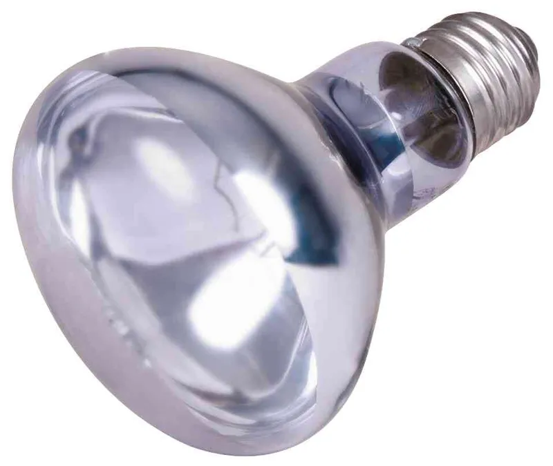 Hlavný obrázok produktu Neodymium Basking-Spot-Lamp 100 W