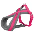 Ďalší obrázok produktu Nylonový postroj PREMIUM podšitý - fuchsie L: hruď: 60-100cm/25mm