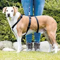 Ďalší obrázok produktu Nylonový postroj STAY (proti úniku) S-M: hruď: 40-65cm/15mm