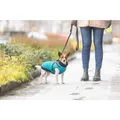 Ďalší obrázok produktu Obleček PONTIS - vesta s postrojom, tyrkysová M: 45cm, hruď: 64-68cm, krk: 48cm