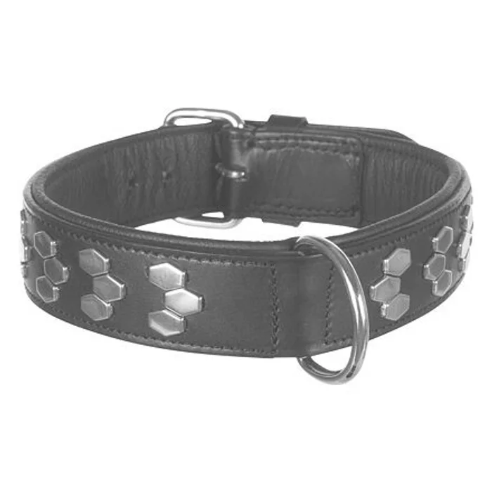 Hlavný obrázok produktu Obojek ACTIVE kožený - černý L:45-55cm/40mm