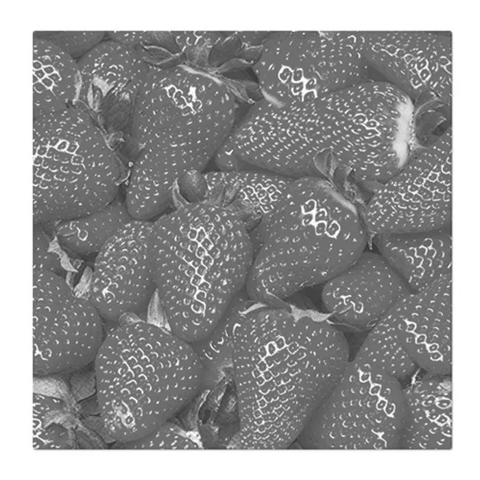 Hlavný obrázok produktu Obrúsky PAW L 33x33cm Raw Strawberries