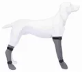 Ďalší obrázok produktu Ochranná silikónová ponožka, šedá S: 6 cm/30 cm, napr. Jack Russel teriér