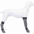 Ďalší obrázok produktu Ochranná silikónová ponožka, šedá S: 6 cm/30 cm, napr. Jack Russel teriér