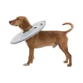 Ďalší obrázok produktu Ochranný mäkký golier "disk", L-XL: 53-56 cm/27 cm, polyester/pena, sivá