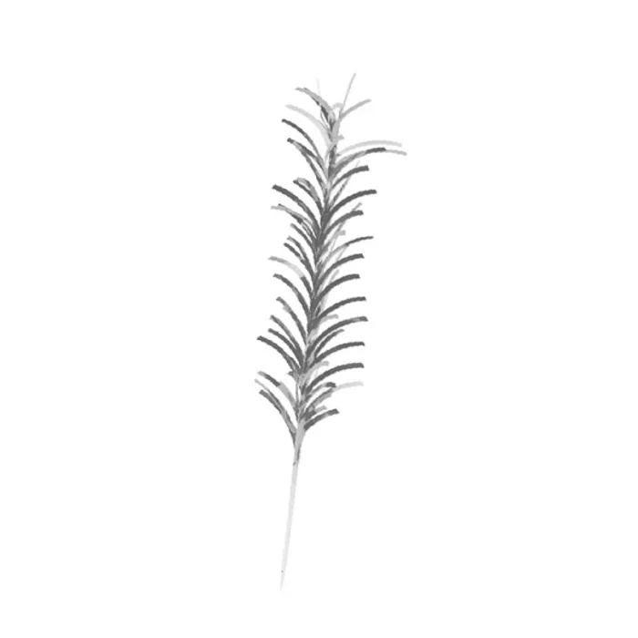 Hlavný obrázok produktu Palmička SPIKES 210 mm [50 ks]