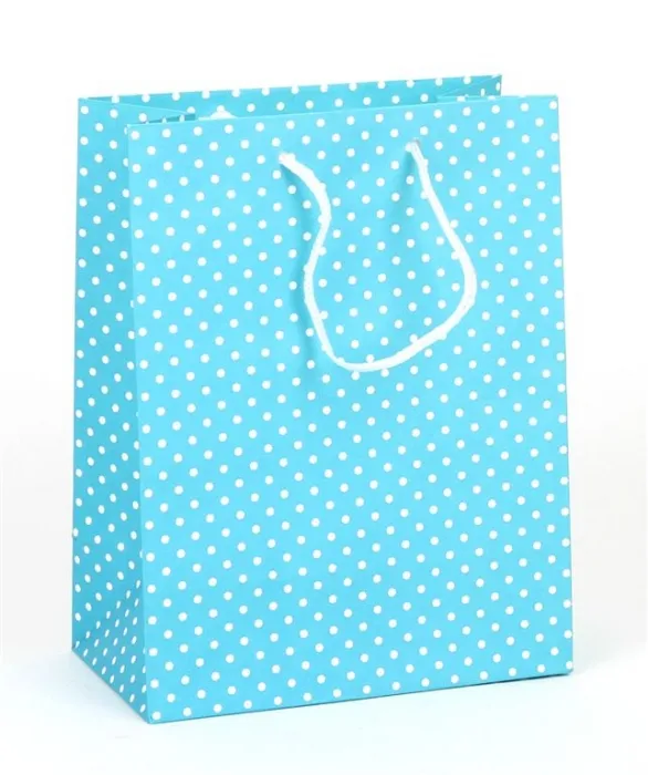 Hlavný obrázok produktu Papírová taška dárková 18x10x23 cm světle modrá s puntíky