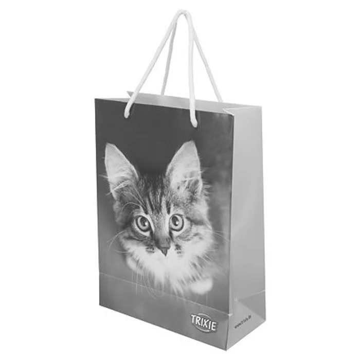 Hlavný obrázok produktu Papírová taška JUNIOR TRIXIE 23x31x10 cm