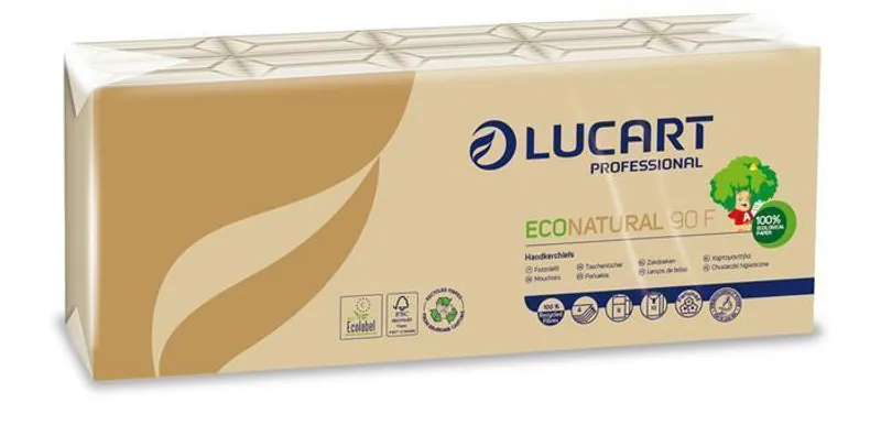 Hlavný obrázok produktu Papírové kapesníky "EcoNatural", přírodní hnědá, 4-vrstvé, 10x9 ks, LUCART