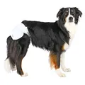Ďalší obrázok produktu Papierové plienky pre sučky (12 ks/bal.) M-L: 36-52 cm
