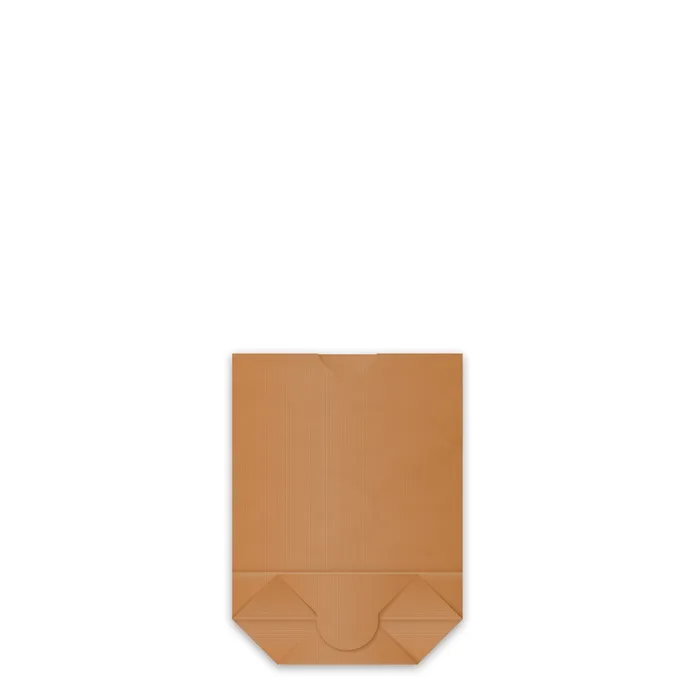 Hlavný obrázok produktu Papírový sáček (FSC Mix) s křížovým dnem kraft 22,5 x 31 cm `2kg` [1000 ks]
