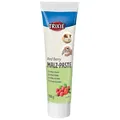 Pasta sladová Multifruit pre hlodavce 100 g