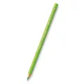 Pastela Polychromos 171 (9201-171) Faber Castell (110171)
