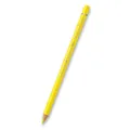 Pastela Polychromos 105 (9201-105) Faber Castell (110105)