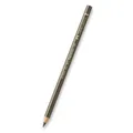 Pastela Polychromos 173 (9201-173) Faber Castell (110173)