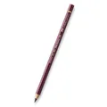 Pastelka Polychromos 194 (9201-194) Faber Castell (110194)