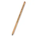 Umělecký pastel Faber-Castell Pitt Monochrome tvrdost S
