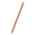 Pitt Pastell umelecká pastelka 270 Faber Castell (112170)