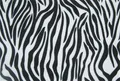 Plstená látka, potlač, vzor zebra, A4 [10 ks]