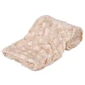 Ďalší obrázok produktu Plyšová deka COSY, béžová 150 x 100 cm
