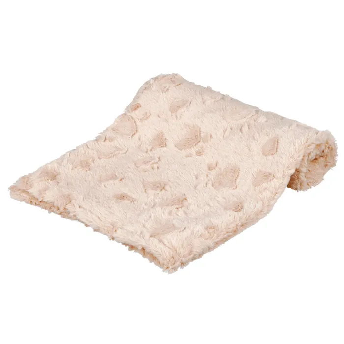 Hlavný obrázok produktu Plyšová deka COSY, béžová 70 x 50 cm